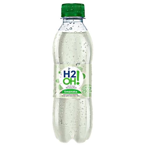 2F) Agua Saborizada 250 ml.