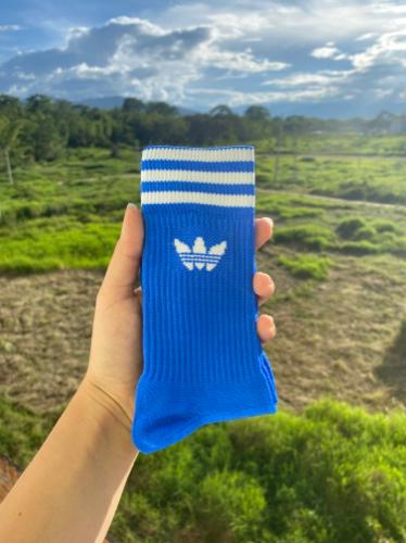 ADIDAS AZUL REY LOGO BLANCO