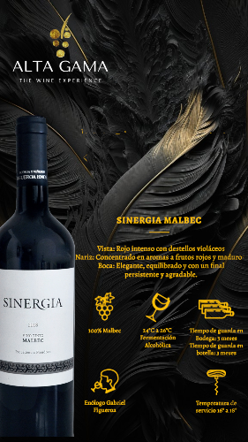 Caja Cerrada x 6 Sinergia Varietal Malbec
