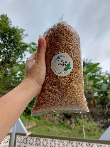Cascarilla de arroz
