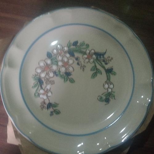  6 Platos  soperos victoria marca Santa Anita. 