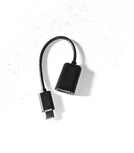 Adaptador OTG Tipo C - 10cm