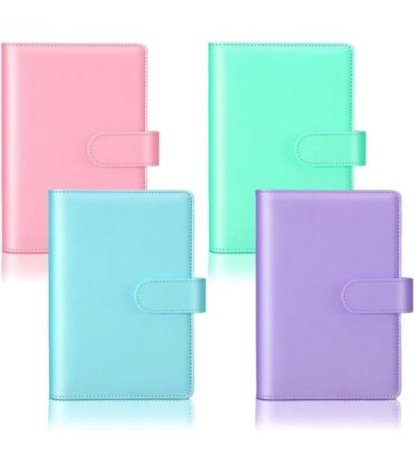 Agendas organizadoras de gastos