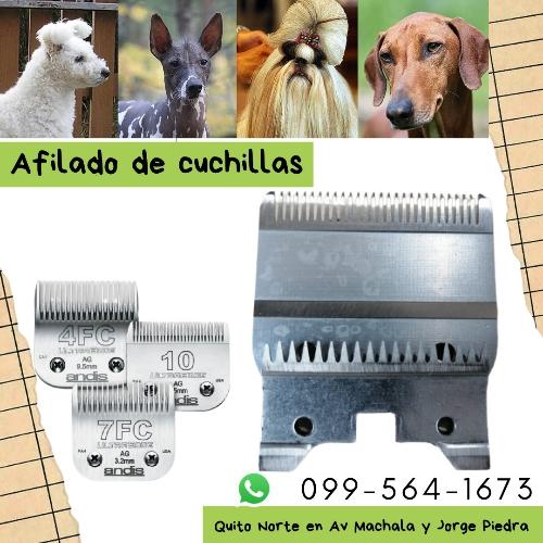Afilado de cuchillas 