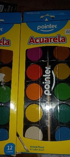 Acuarela Pointer 