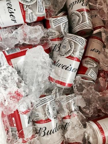 Caja Budweiser x24 Unidades 269ml