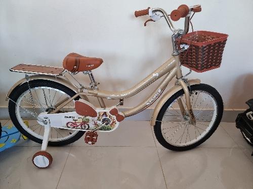 Bicicleta de niña aro 20 