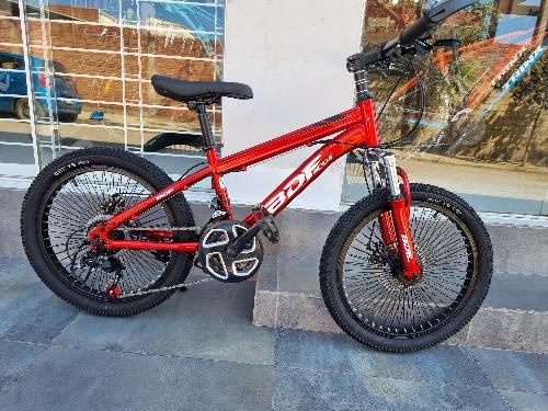 Bici aro 20