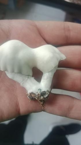 Frutos deshidratados Nutcraker