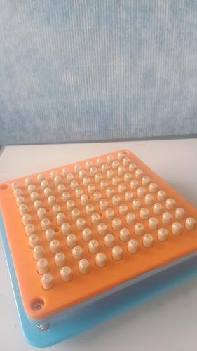 Tratamiento microdosis psilocibe 1 mes