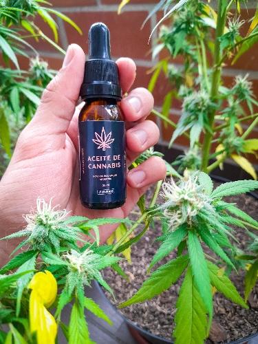 Aceite de cannabis Medicinal