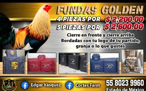 5 fundas golden