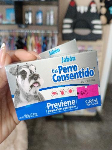 Perro consentido 
