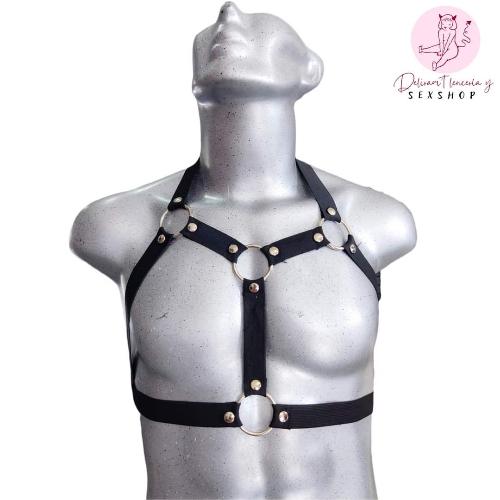 Arnés con aros metálicos