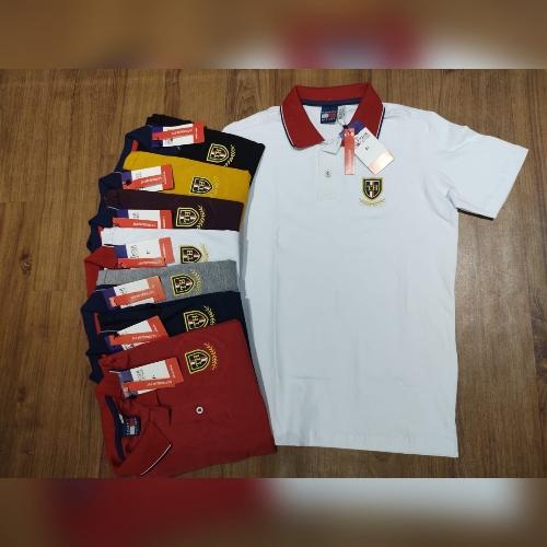MANGA POLO PERUANA T-P AO GG