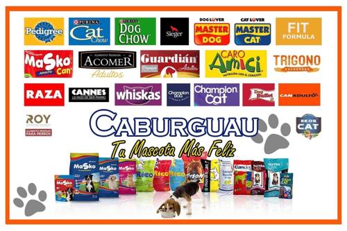 Bodega Caburguau