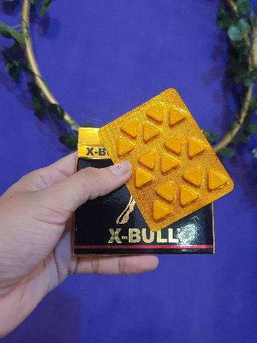 0824- X-BULL