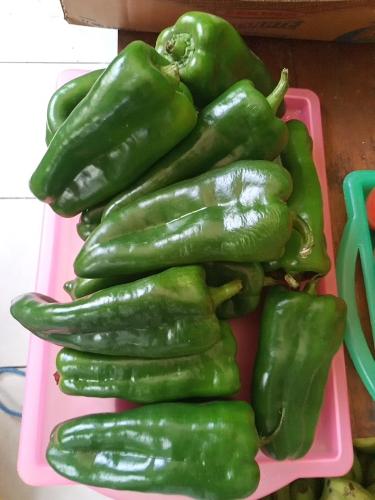 Chiltomas 150g