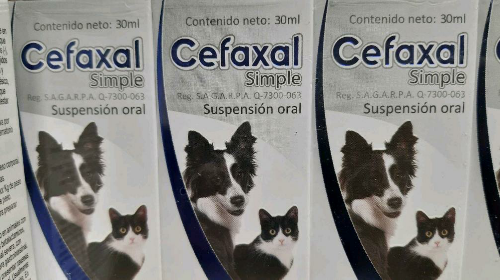 Cefaxal Simple 60 ml
