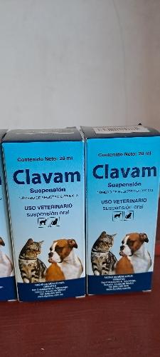 Clavam 20 ml 