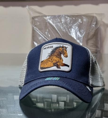Horse A