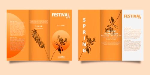 Creación e impresión de Brochure