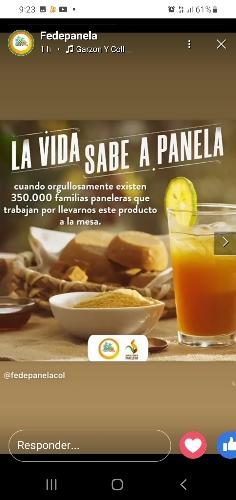 COL-STORE MARKET " PANELA"