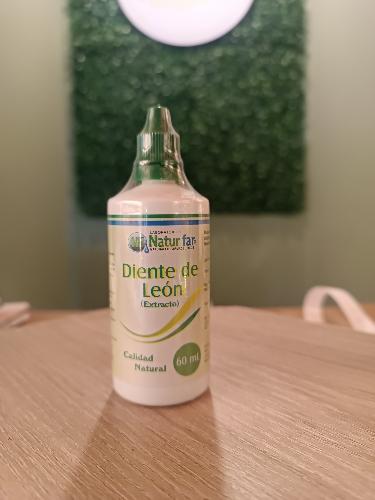 Diente de león x60 mo