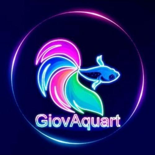 GiovAquart