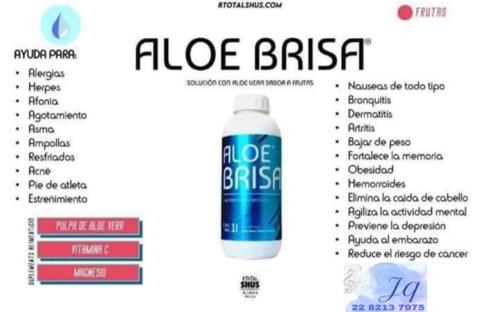 Aloe brisa