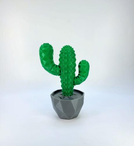 Cacto Decorativo
