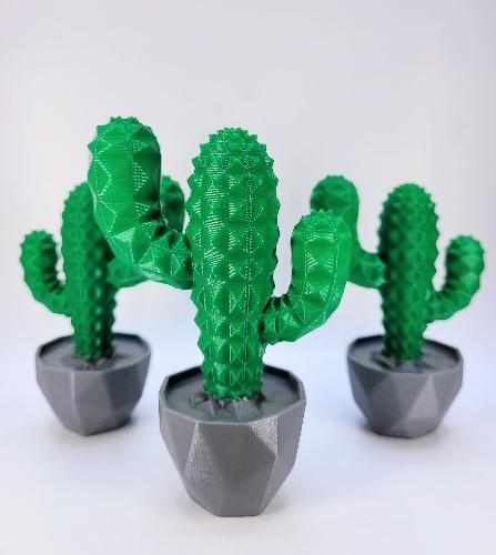 Kit 3 Cactos Decorativos