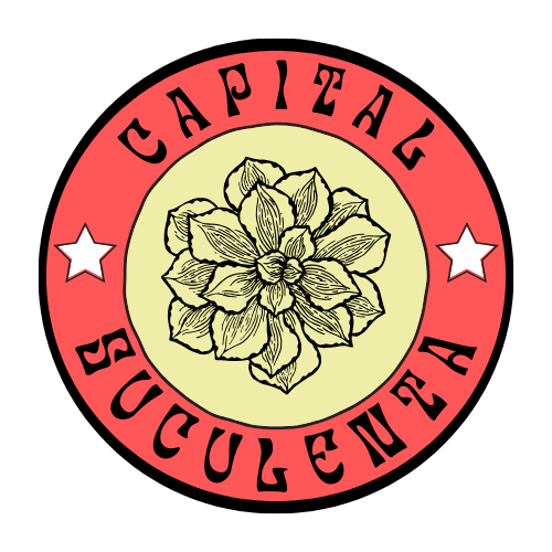 Capital Suculenta 