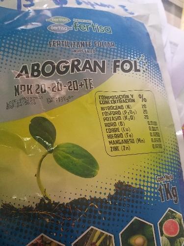 Abogran azul 3ra