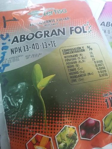 Abogran tomate 1ra