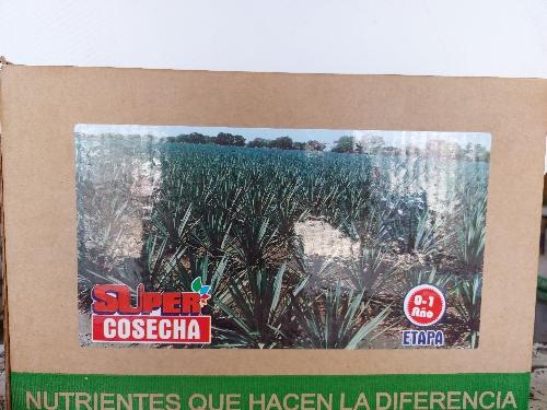 Agave super cosecha 0 a 1 año