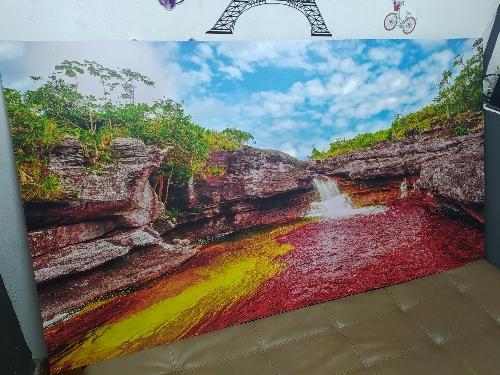 Mega cuadro caño cristales