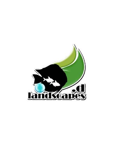 .dlandscapes CUENCA