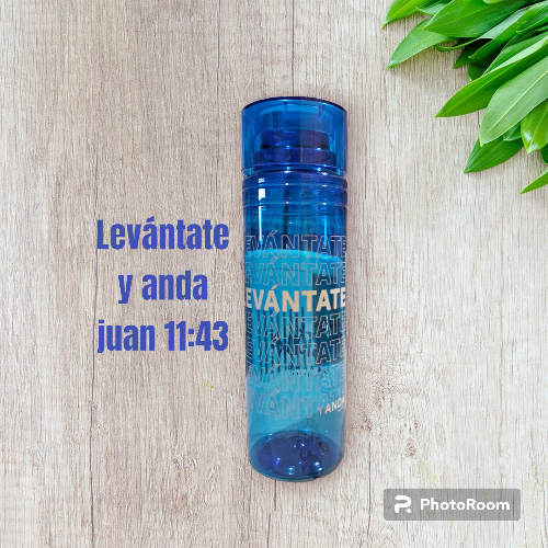 Bote apostolica