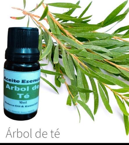 Aceite Esencial de Árbol de Te 10ml