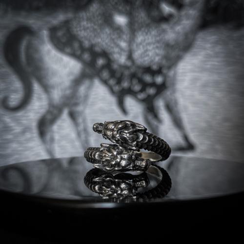 Anillo Dragones #8 