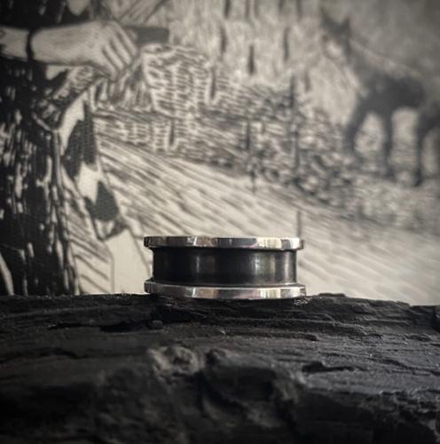 Anillo II Coins #6 