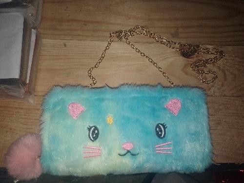 Cartera con cadena 