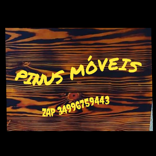 PINUS DESIGN
