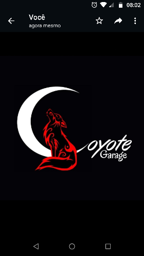 Coyote Garage
