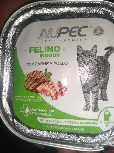 Alimento húmedo para gato 