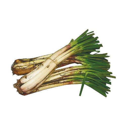 Cebolla larga (500gr)