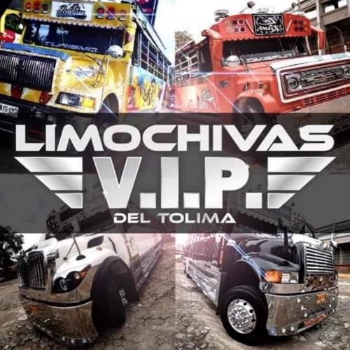 LIMOCHIVAS VIP DEL TOLIMA SAS  RNT 91865