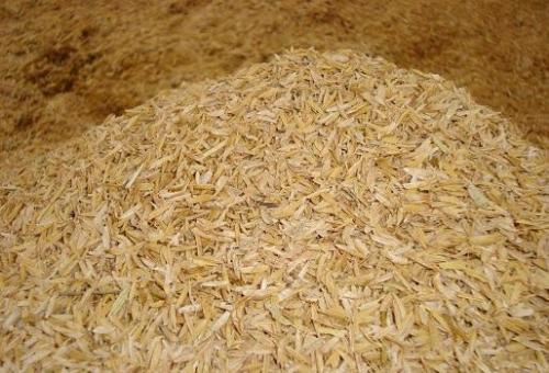 Cascarilla De arroz 
