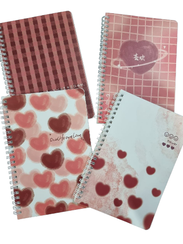 Agenda Rosa con corazones A4 de 60 Hojas